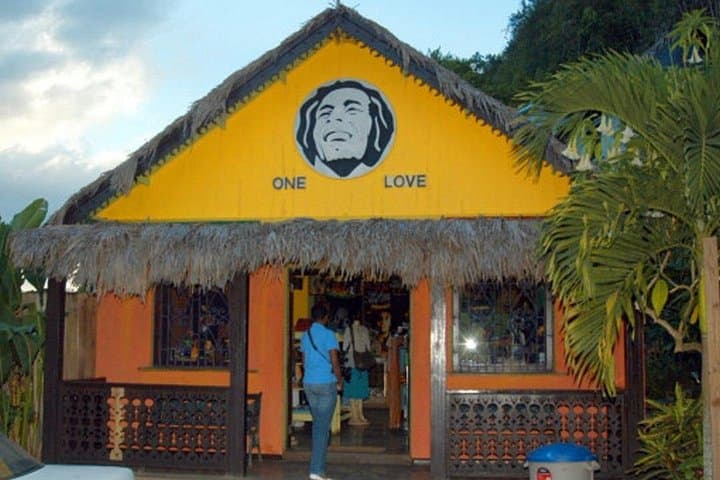 Dunn's River Falls and Bob Marley’s Nine Mile: Private Ocho Rios Day Trip