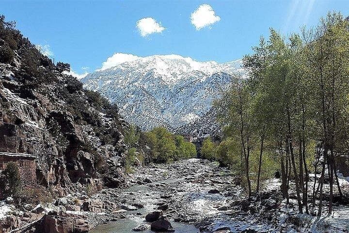 Ourika Valley Day Trip from Marrakech: Setti-Fatma Waterfalls & Berber Villages photo 3