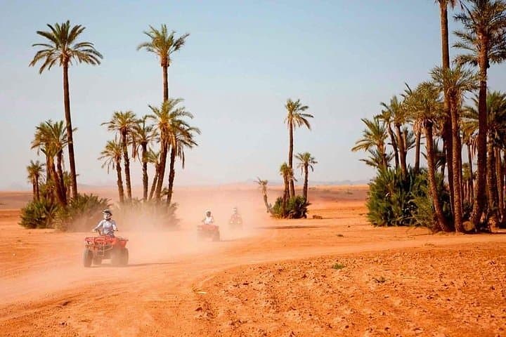 Marrakech Half-Day Desert Quad and Dromedary Tour — Camel Ride and Quad Biking Near Marrakech