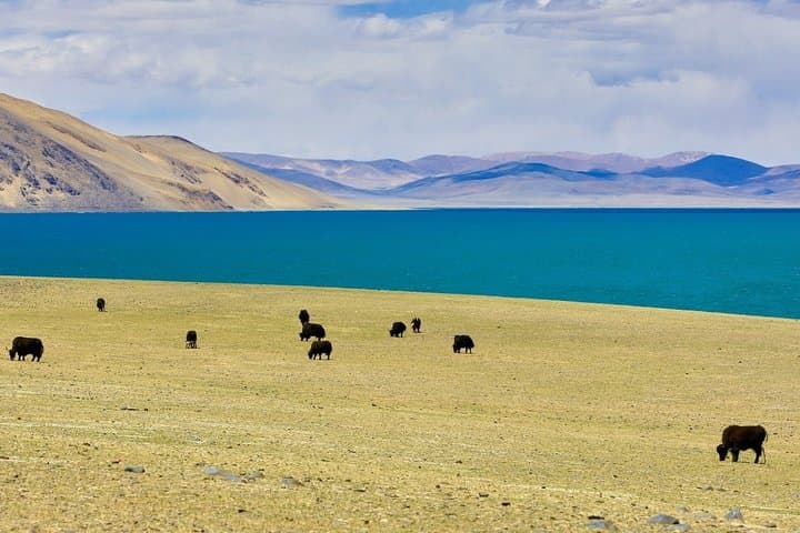 6-Day Lhasa & Namtso Holy Lake Tour — Potala Palace, Jokhang & High Plateau Culture photo 4