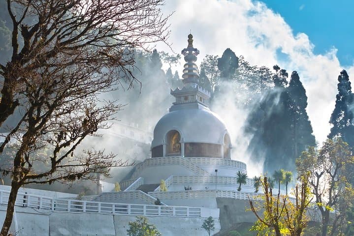 Darjeeling Five-Point Day Tour: Pagoda, Tea Gardens & Tibetan Heritage photo 5