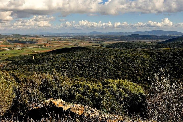 Tarot Garden and Maremma Park: Carriage Rides and Wild Coast Walks photo 3