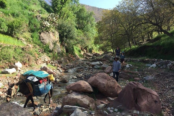 Two-Day Toubkal Summit: Guided Ascent from Marrakech photo 2