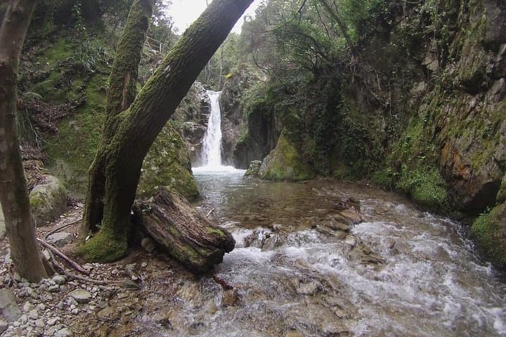 Hiking Aspromonte: Half- and Full-Day Excursions in Calabria photo 5