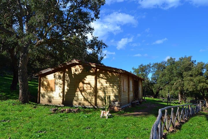 Madonie Wild Adventure: Jeep Sunset, Chalet Overnight & Horseback in Sicily photo 4