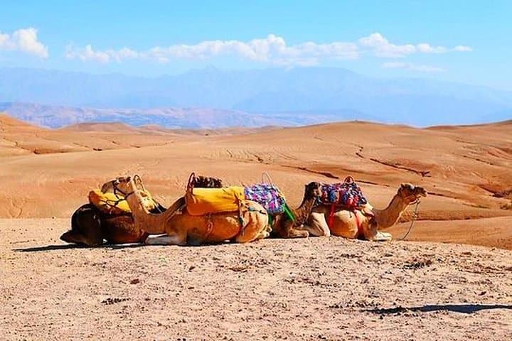 Sunset Quad Biking and Camel Ride in Agafay Desert with Traditional Moroccan Dinner photo 4