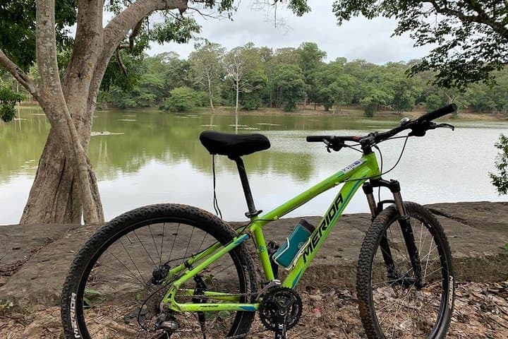 Full-Day Angkor Temple Bike Tour: Explore Angkor Wat, Angkor Thom & Jungle Temples photo 3