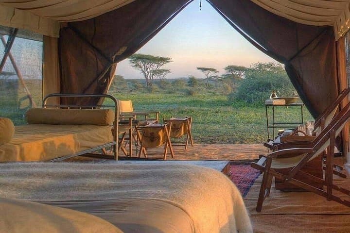 4-Day Selous and Mikumi Safari - Nyerere Wilderness Game-Drive photo 4