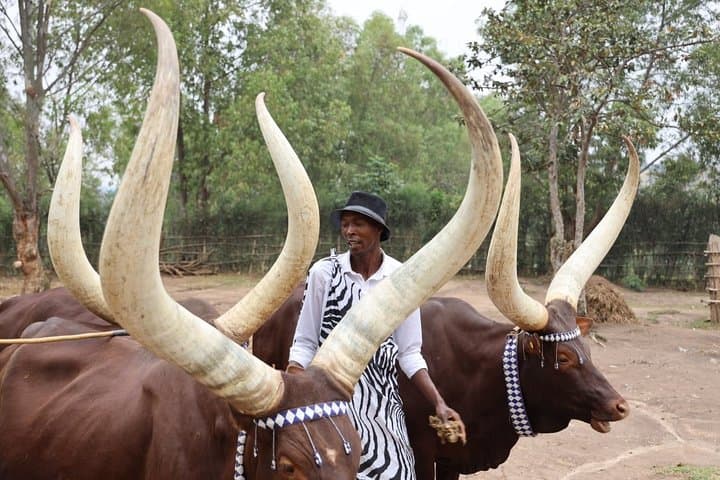 Experience a Traditional Rwandan Wedding Near Volcanoes National Park photo 2