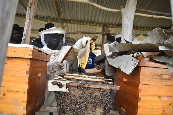 Hands-On Beekeeping Experience near Gakenke — Harvest Honey in Rwanda photo 3