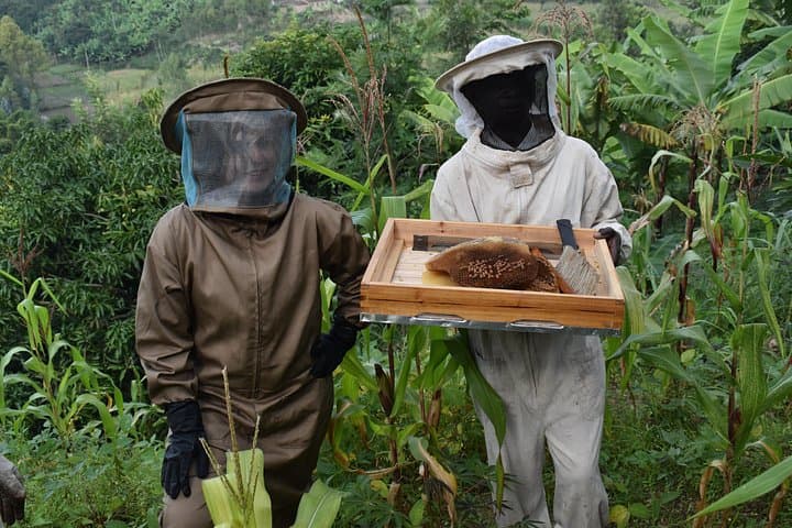 Hands-On Beekeeping Experience near Gakenke — Harvest Honey in Rwanda photo 4