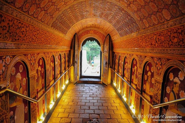 15-Day Sri Lanka Explorer — Sigiriya, Tea Country, Yala & Whale Watching photo 3