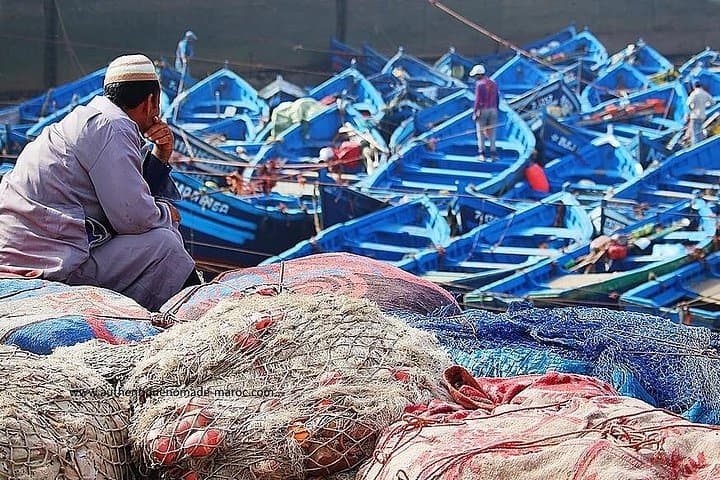 Essaouira Private 4x4 Day Trip from Marrakech — Medina, Port & Atlantic Coast photo 3