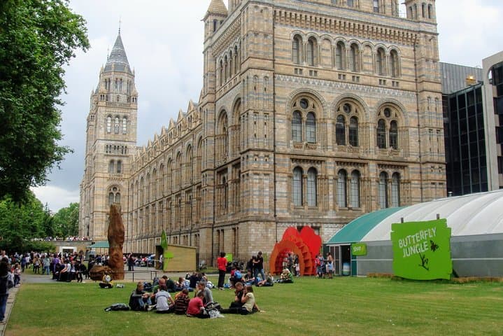 Exploring the Natural History Museum London: Dinosaurs, Minerals and Earth Science photo 3
