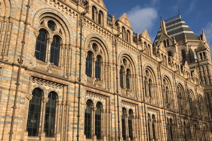 Exploring the Natural History Museum London: Dinosaurs, Minerals and Earth Science photo 4
