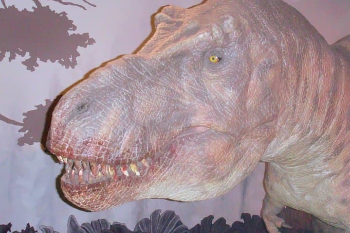 Exploring the Natural History Museum London: Dinosaurs, Minerals and Earth Science photo 5