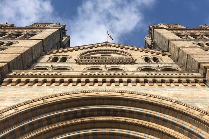 Exploring the Natural History Museum London: Dinosaurs, Minerals and Earth Science photo 6