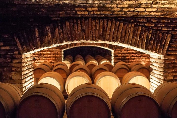 Maipo Valley & Concha y Toro Winery Tour with Private Transfer from Santiago photo 3