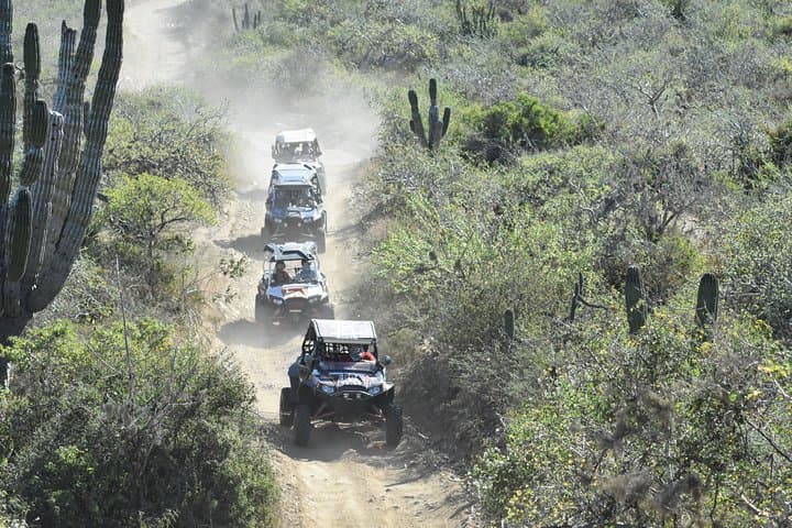 Migriño Beach & Desert Off‑Road: Los Cabos ATV & UTV Dune Tour photo 6