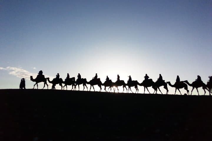 Half-Day Camel Ride in Marrakech Palm Grove — Sunset Camels & Berber Tea