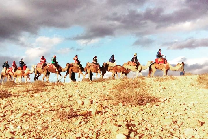 Half-Day Camel Ride in Marrakech Palm Grove — Sunset Camels & Berber Tea photo 4