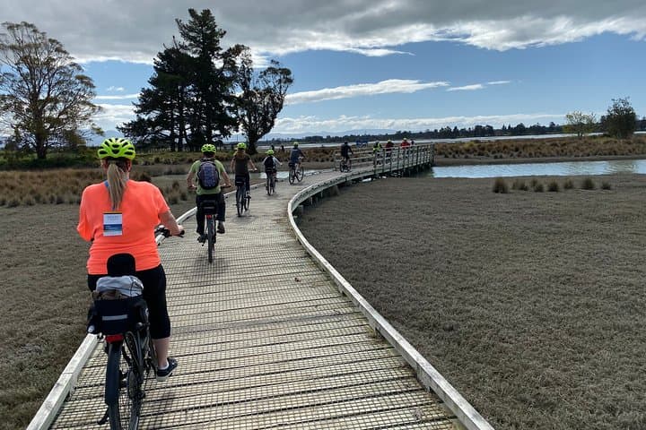 Nelson to Mapua Cycling: Self-Guided Great Taste Trail Day Ride photo 3