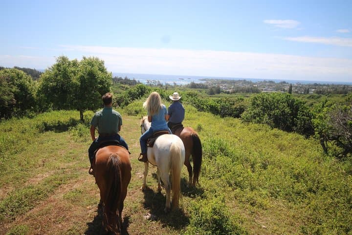 North Shore Scenic Horseback Ride at Gunstock Ranch — 1 Hour Trail Ride on Oahu