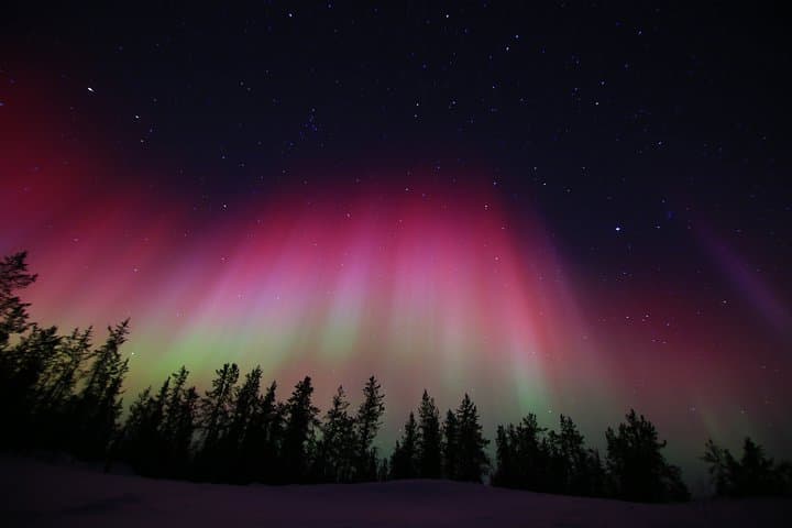 Aurora by Bus: Yellowknife Lakes Night Tour photo 6
