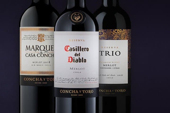 Maipo Valley & Concha y Toro Winery Tour with Private Transfer from Santiago photo 5