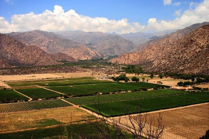 Full-Day Cafayate Excursion from Salta: Torrontés, Red Rock Formations & Devil’s Throat