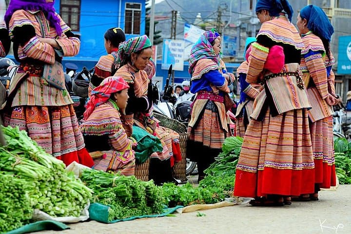7-Day Northern Vietnam Adventure: Hanoi, Sapa, Ninh Binh & Halong Bay