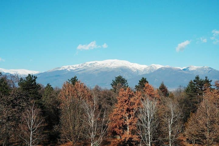 Hike Vitosha's Cherni Vrah: Dragalevtsi Monastery to Black Peak Day Trek photo 6