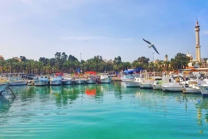 Full-Day Tripoli and Batroun Small-Group Sightseeing Tour from Beirut photo 5