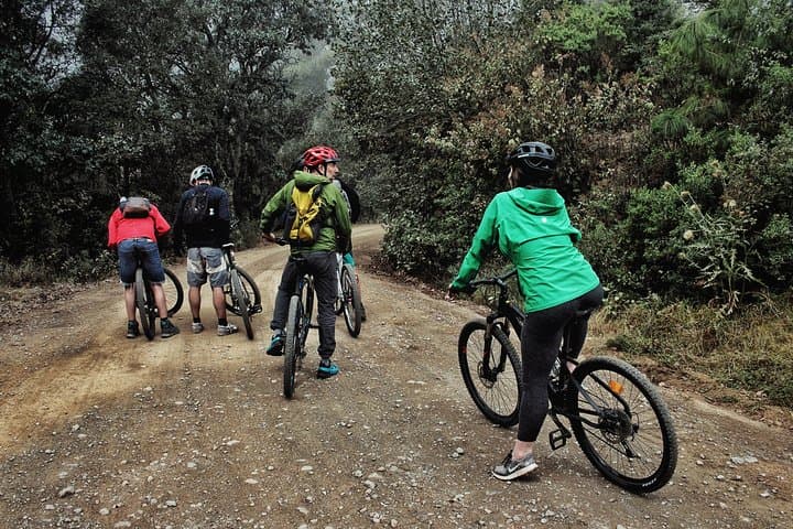 Sierra Norte Downhill: Bike from Cuajimoloyas to Teotitlán del Valle photo 5