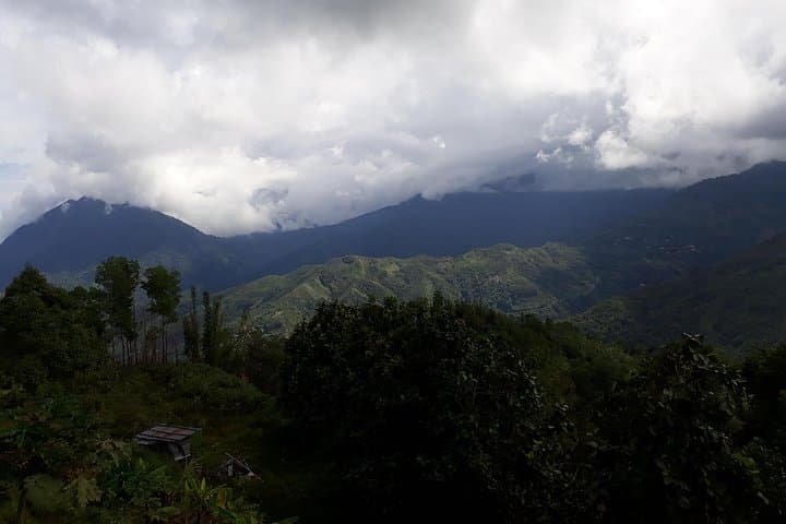 Full-Day Kinabalu Park & Poring Hot Springs: Canopy Walkway, Trails and Sulfur Baths from Kota Kinabalu photo 6