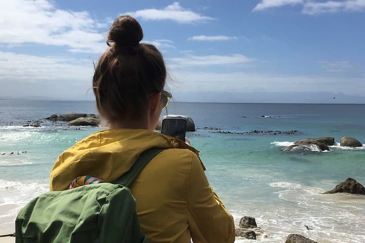 Private Day Tour to the Cape of Good Hope: Chapman's Peak, Cape Point & Boulders Beach