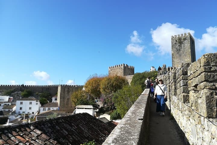 5-day-private-douro-valley-and-lisbon-tour-port-wine-region-porto-lisbon photo 3