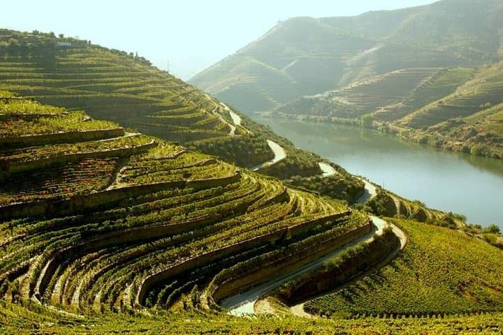5-day-private-douro-valley-and-lisbon-tour-port-wine-region-porto-lisbon