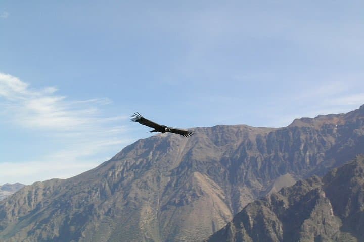 2-Day Colca Canyon Trek — Sangalle Oasis Hike & Condor Viewpoint photo 2
