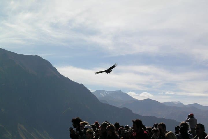 2-Day Colca Canyon Trek — Sangalle Oasis Hike & Condor Viewpoint photo 4
