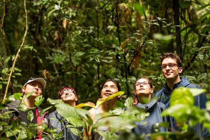Best of Costa Rica: 12-Day Wildlife, Volcano & Cloud Forest Adventure photo 4