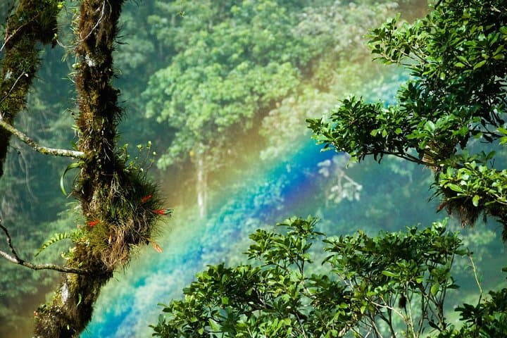 Costa Rica Explorer: 10-Day Active Nature & Volcano Itinerary photo 5