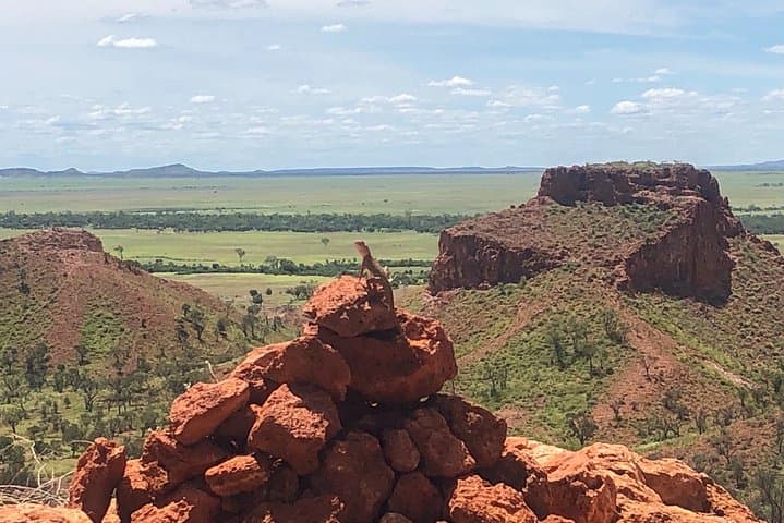 Carisbrooke Station & Dinosaur Stampede Day Tour from Winton — Lark Quarry Tracks and Outback Station Visit photo 5