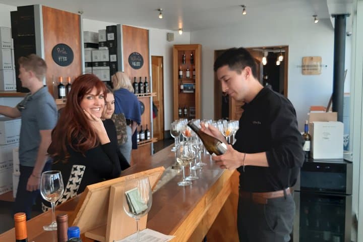 Private Valparaíso & Viña del Mar Day Trip from Santiago with Boutique Winery Tasting photo 5