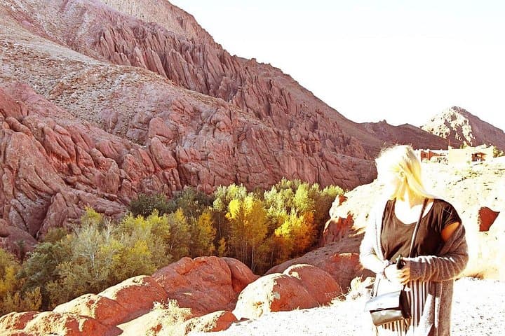 9-Day Southern Morocco: Kasbahs, Gorges & Erg Chigaga Desert Cultural Tour from Marrakech photo 4