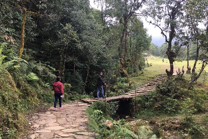 Dhampus Village Easy Hike from Pokhara: Mountain Views & Gurung Culture photo 2