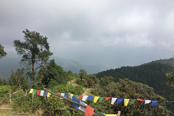 Easy Hike to Australian Camp from Pokhara: Family-Friendly Annapurna Views photo 1