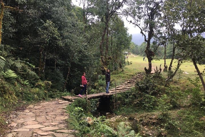 Australian Camp & Dhampus Day Hike: Easy Trek to Annapurna Viewpoint photo 5