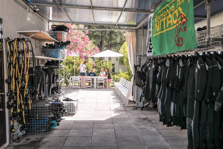 PADI 5-Star Dive Day at Isola Bella: Scuba Trips from Taormina photo 3