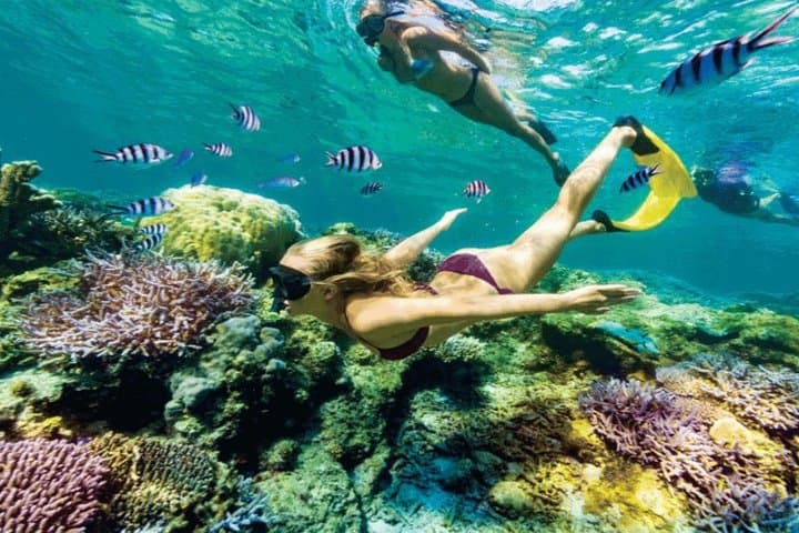 Bali Blue Lagoon & Tanjung Jepun Snorkeling Day Trip photo 5